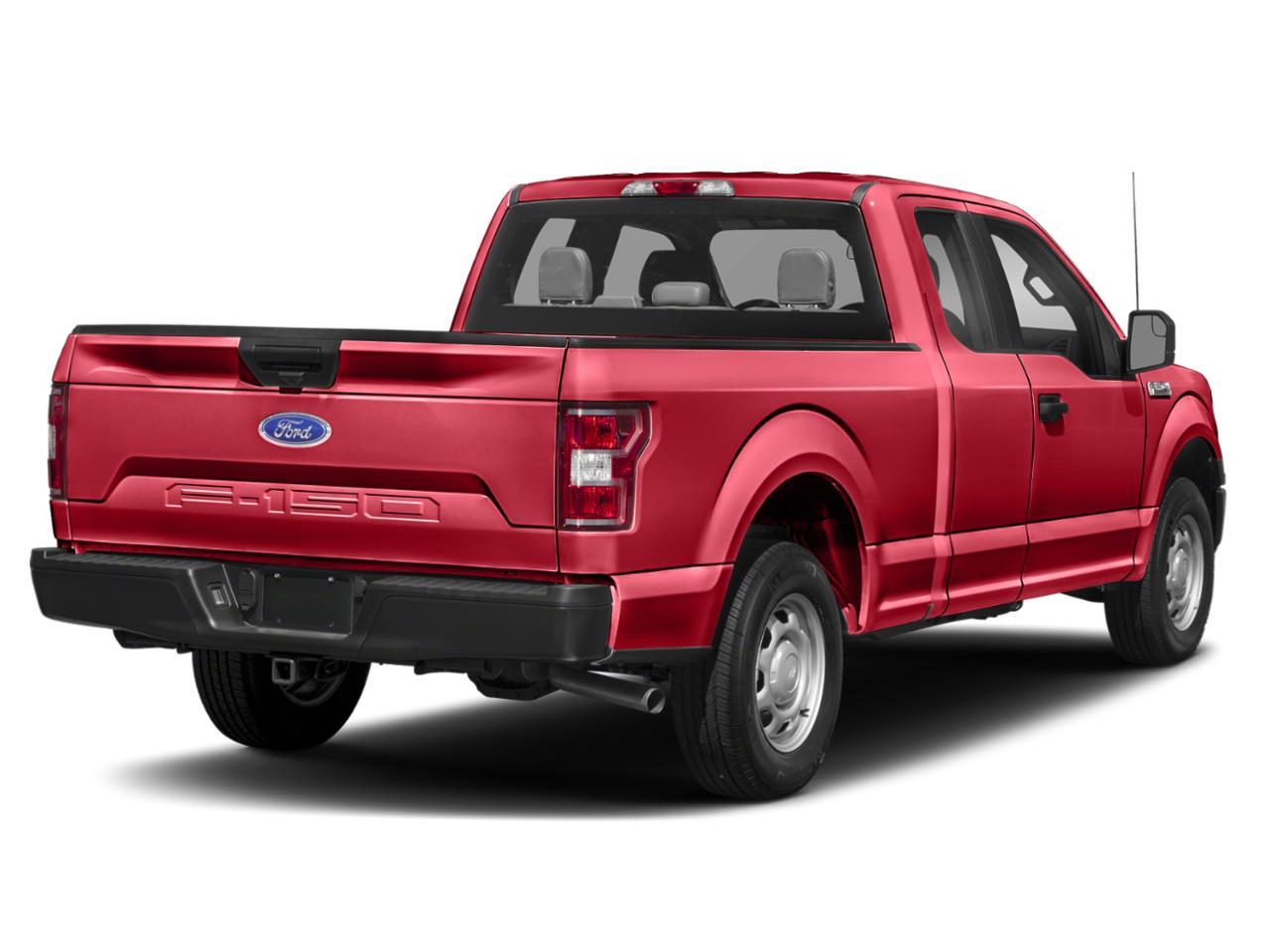 2019 Ford F-150 Vehicle Photo in St. Petersburg, FL 33713