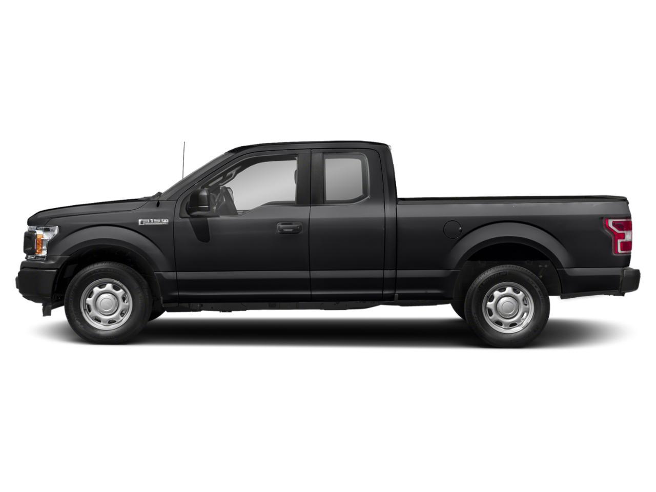 2019 Ford F-150 Vehicle Photo in St. Petersburg, FL 33713