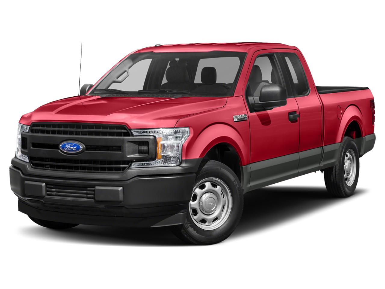 2019 Ford F-150 Vehicle Photo in St. Petersburg, FL 33713