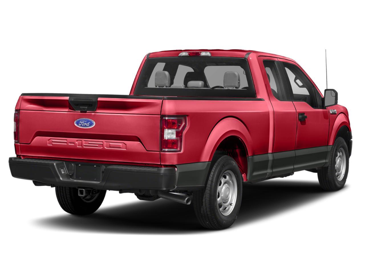 2019 Ford F-150 Vehicle Photo in St. Petersburg, FL 33713