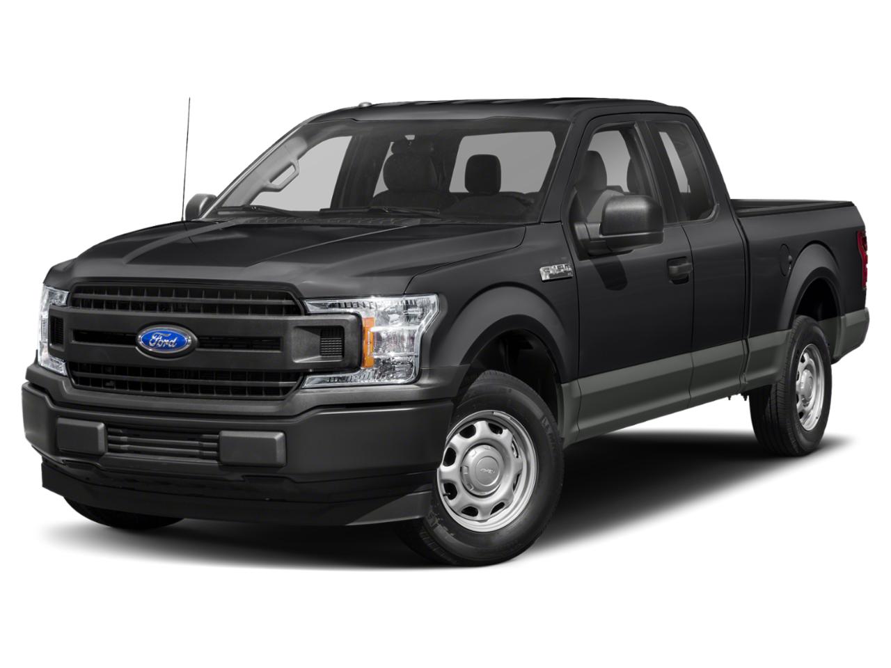 2019 Ford F-150 Vehicle Photo in St. Petersburg, FL 33713