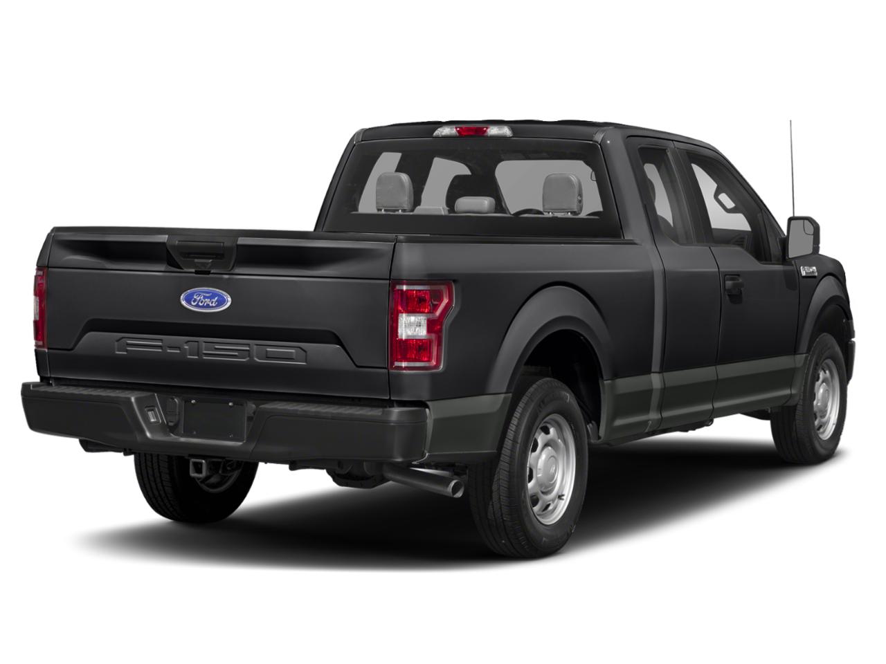 2019 Ford F-150 Vehicle Photo in St. Petersburg, FL 33713