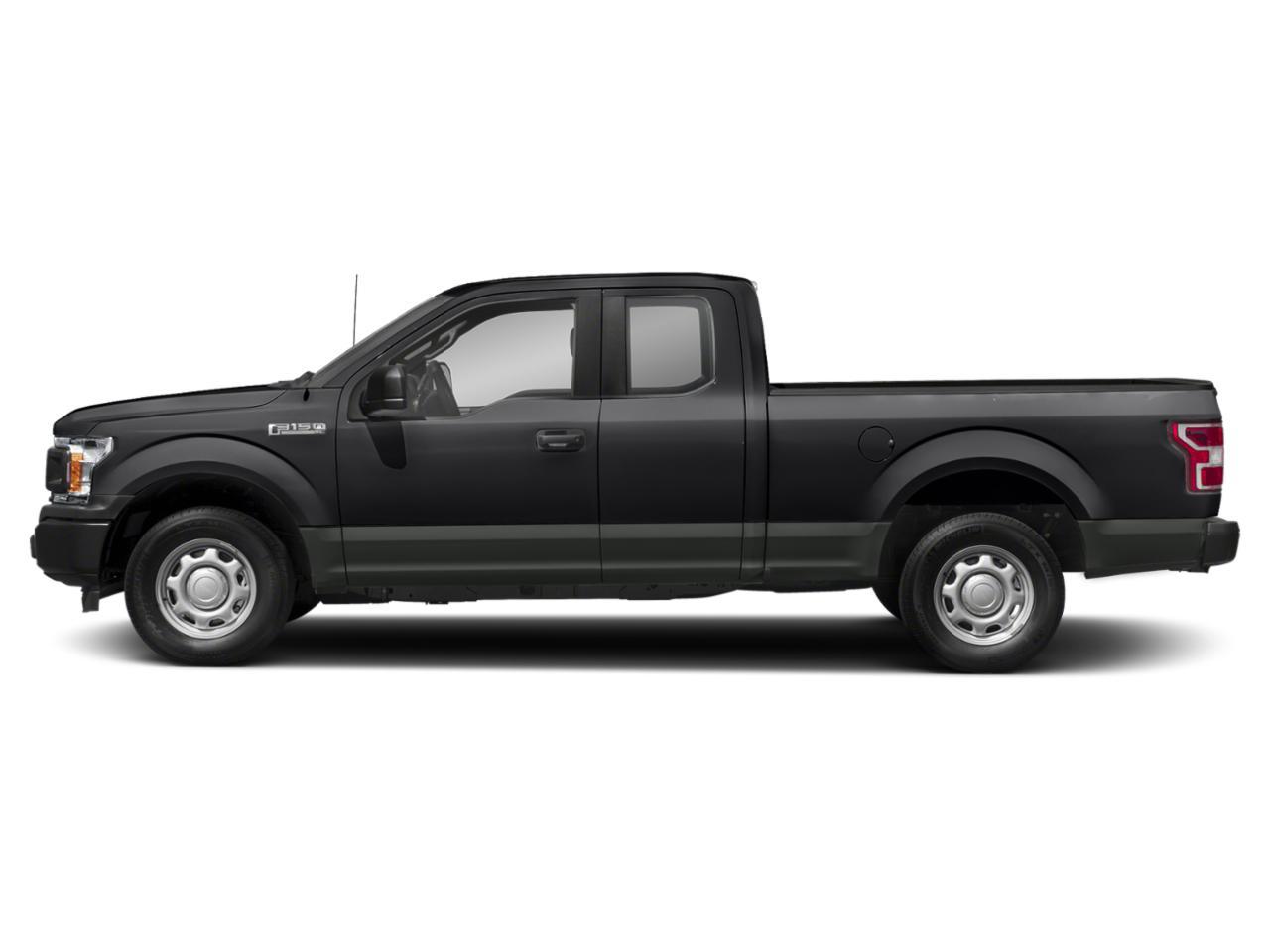 2019 Ford F-150 Vehicle Photo in St. Petersburg, FL 33713