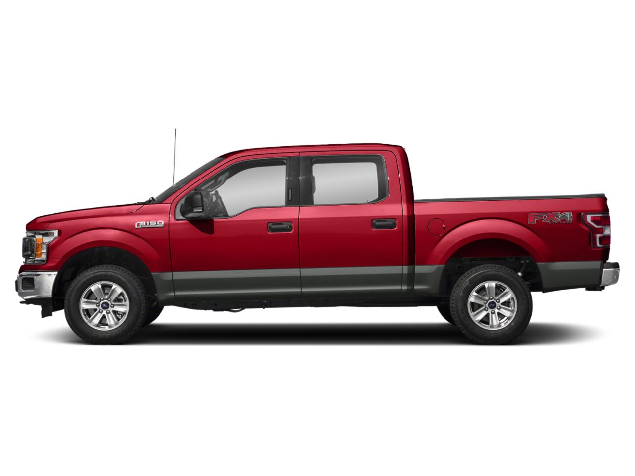 2019 Ford F-150 Vehicle Photo in Jacksonville, FL 32244