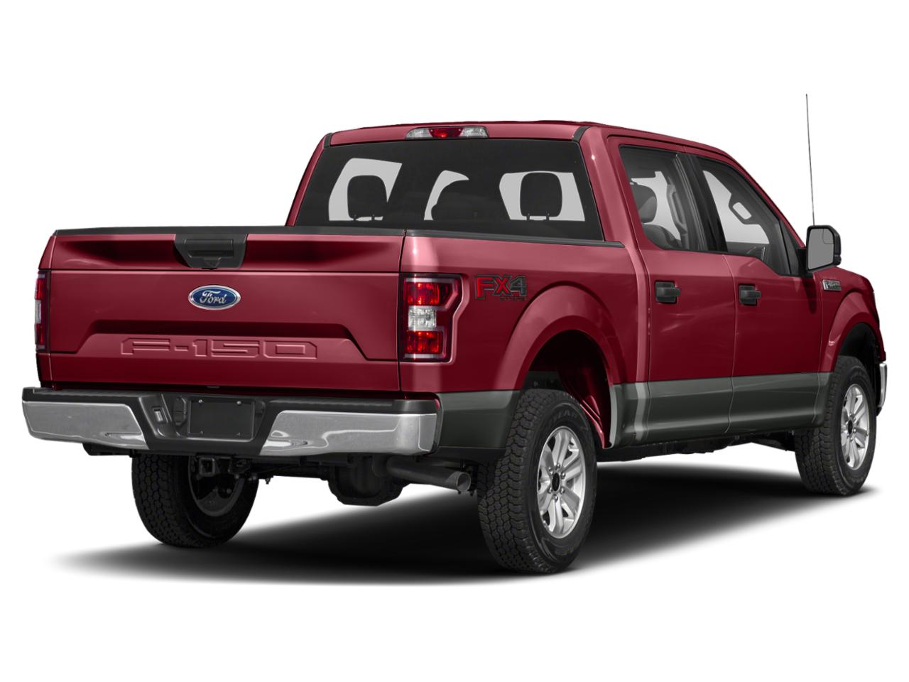 2019 Ford F-150 Vehicle Photo in Jacksonville, FL 32244