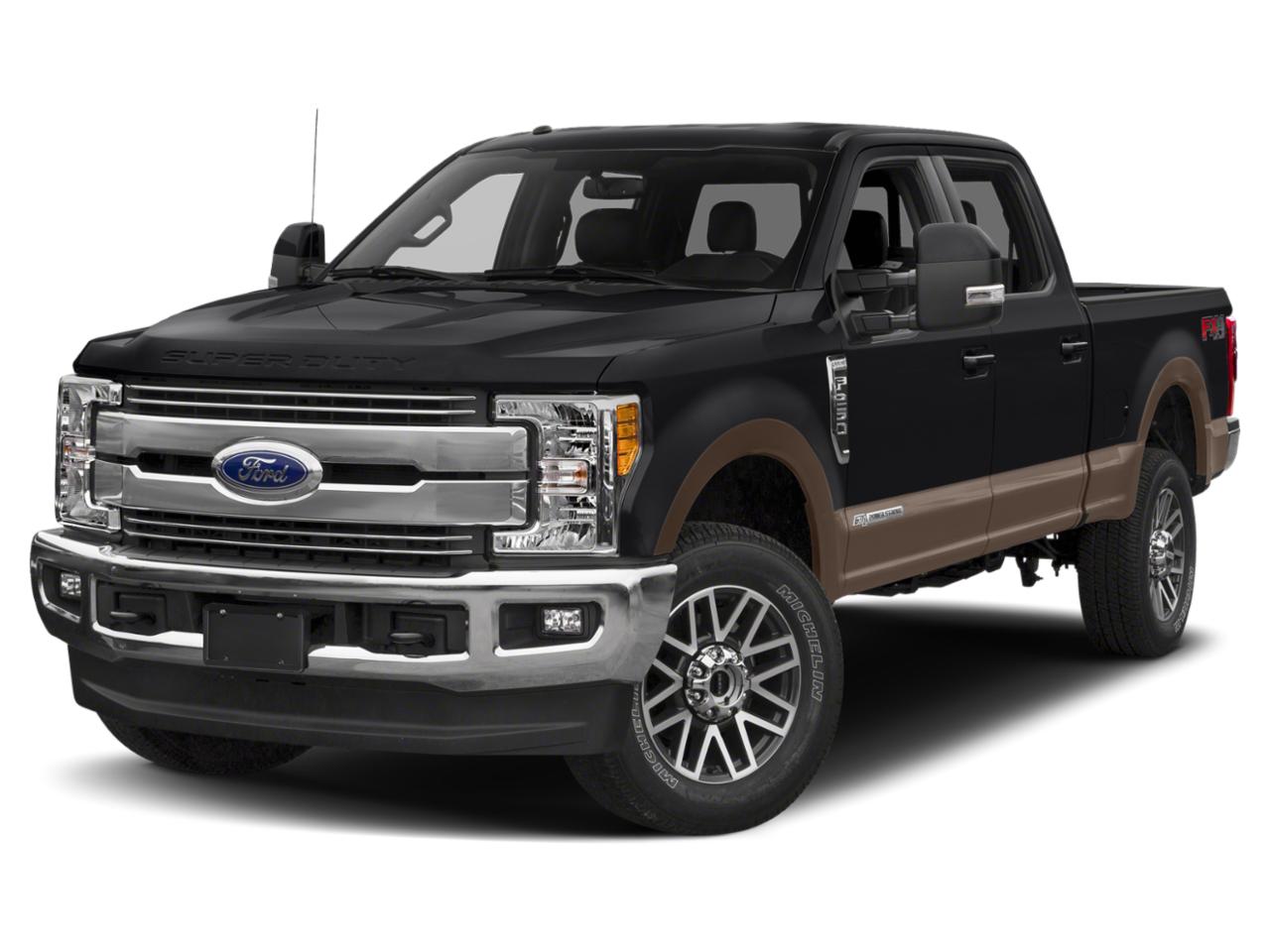 2019 Ford Super Duty F-250 SRW Vehicle Photo in SELMA, TX 78154-1459