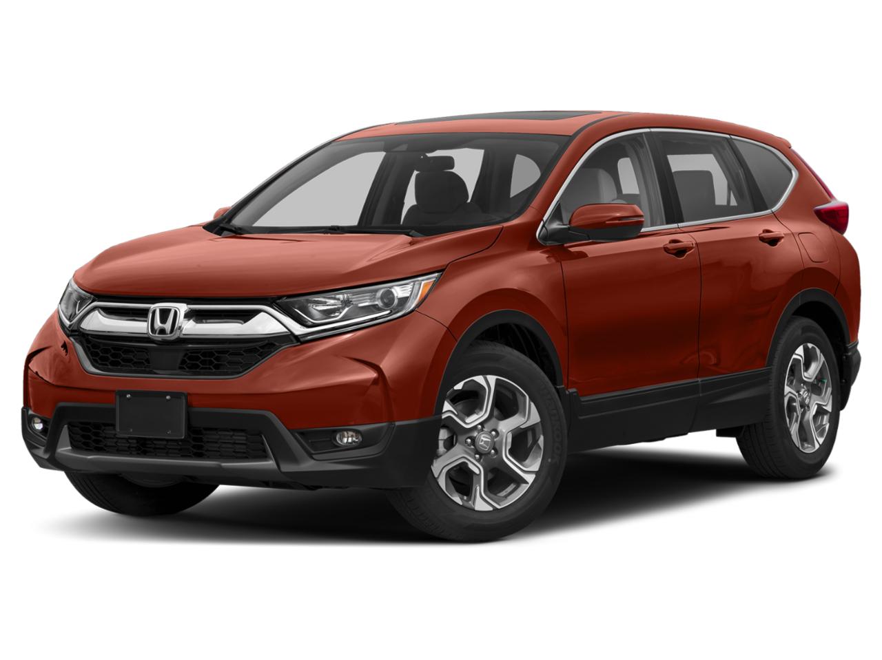 2019 Honda CR-V Vehicle Photo in Bradenton, FL 34207