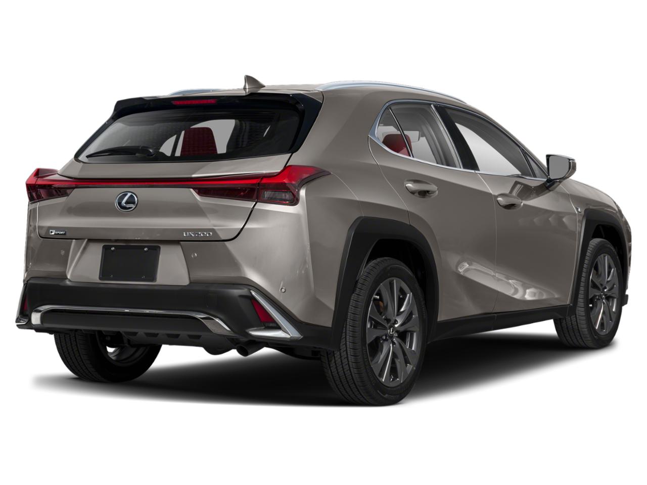 2019 Lexus UX 200 Vehicle Photo in Orlando, FL 32811