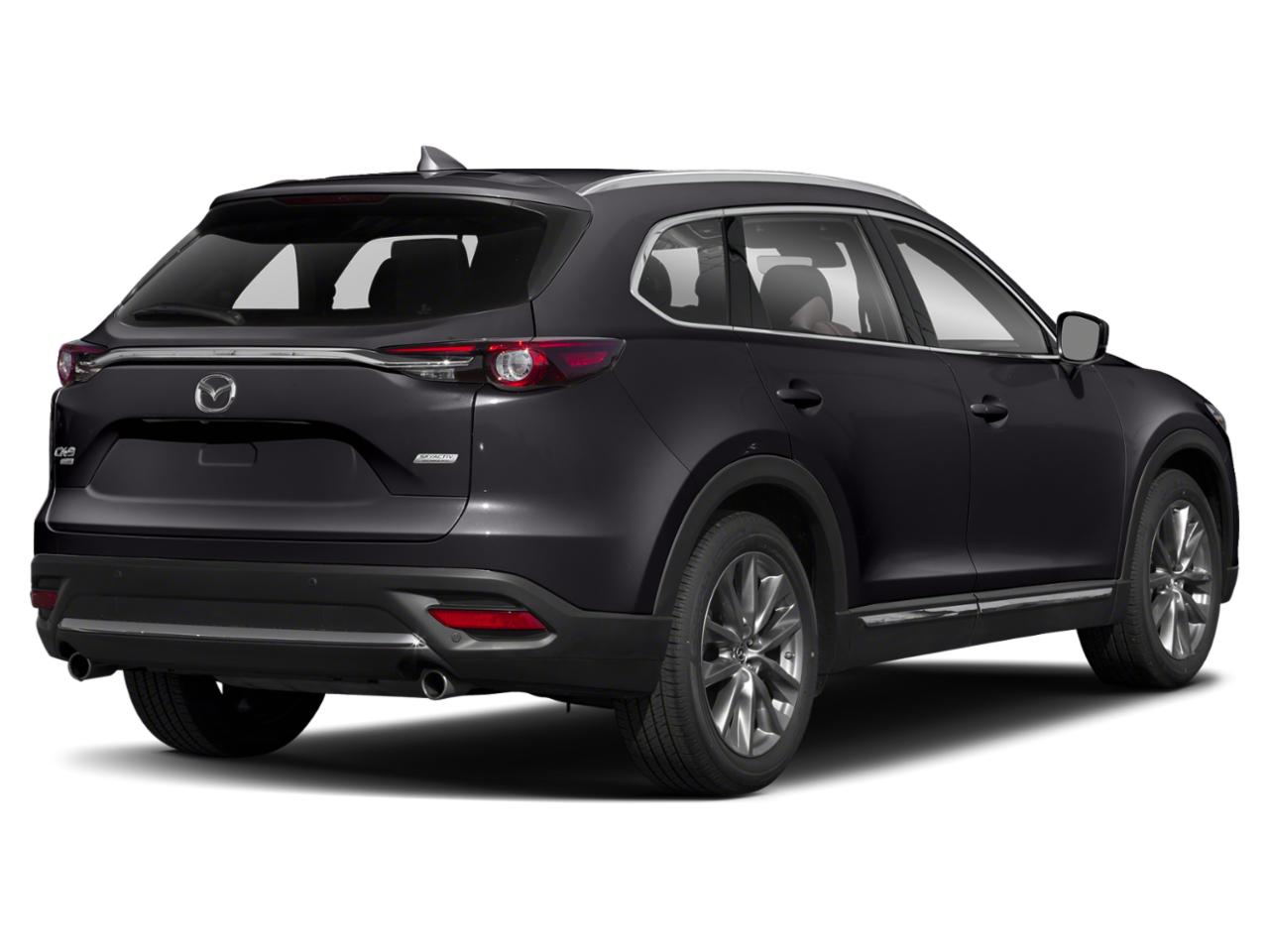 2019 Mazda CX-9 Vehicle Photo in BOISE, ID 83705-3761