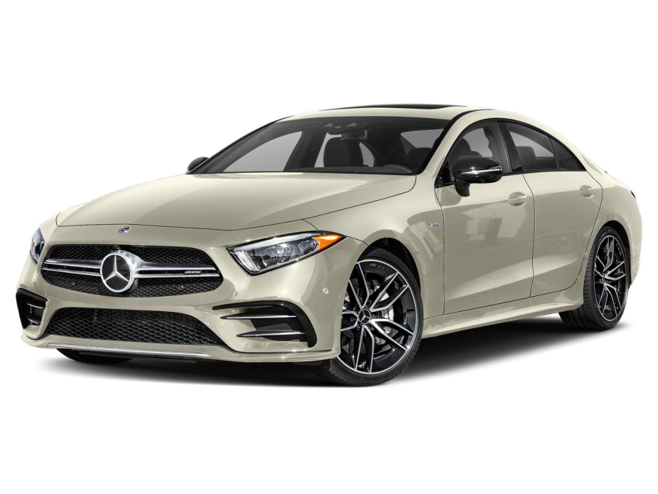 2019 Mercedes-Benz CLS Vehicle Photo in Tampa, FL 33614