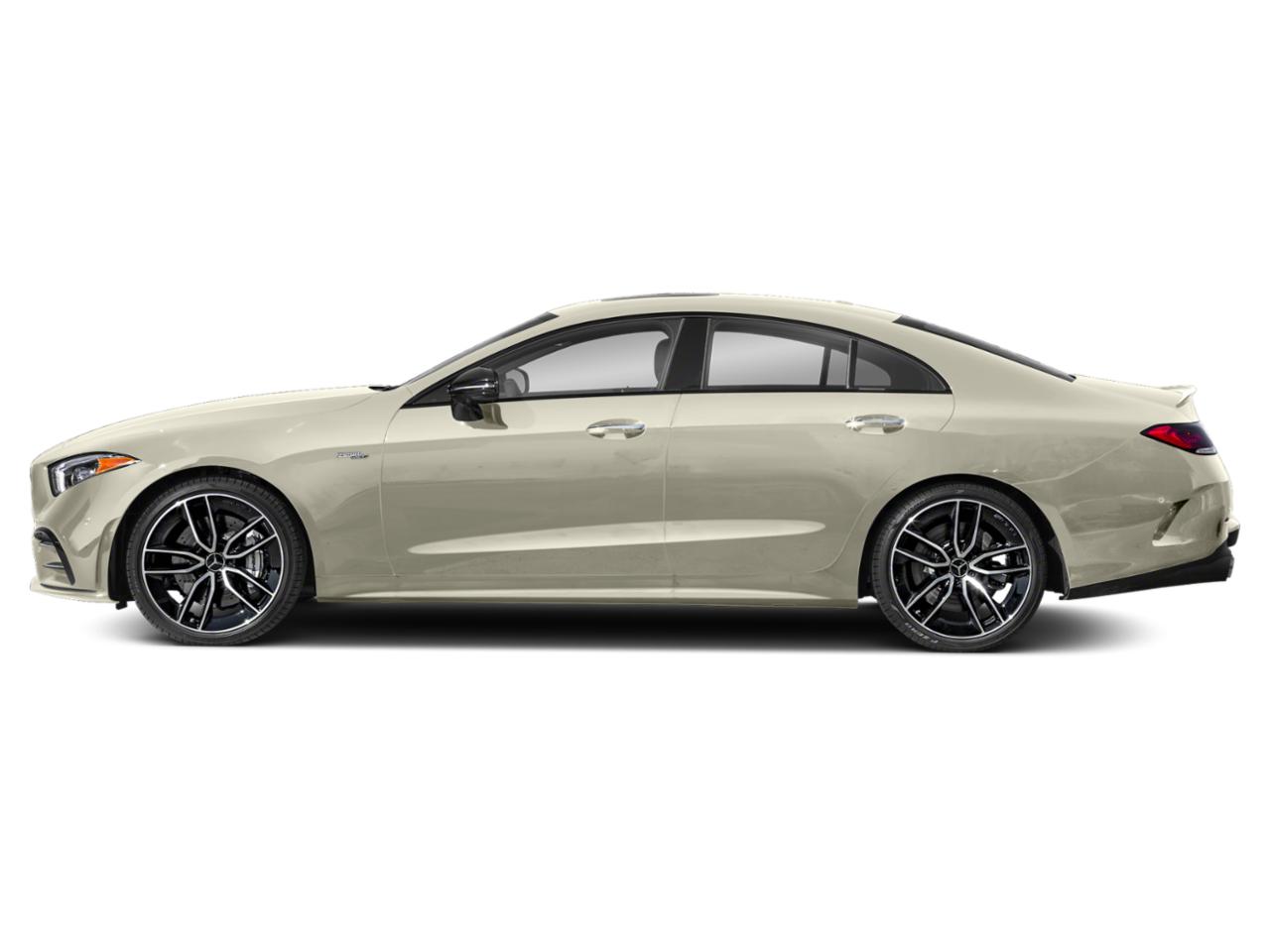 2019 Mercedes-Benz CLS Vehicle Photo in Tampa, FL 33614