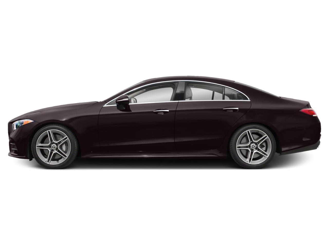 2019 Mercedes-Benz CLS Vehicle Photo in Margate, FL 33063