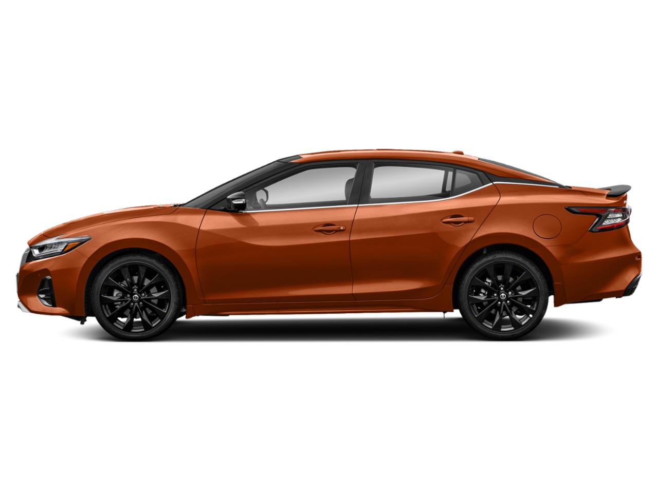 2019 Nissan Maxima Vehicle Photo in Weatherford, TX 76087