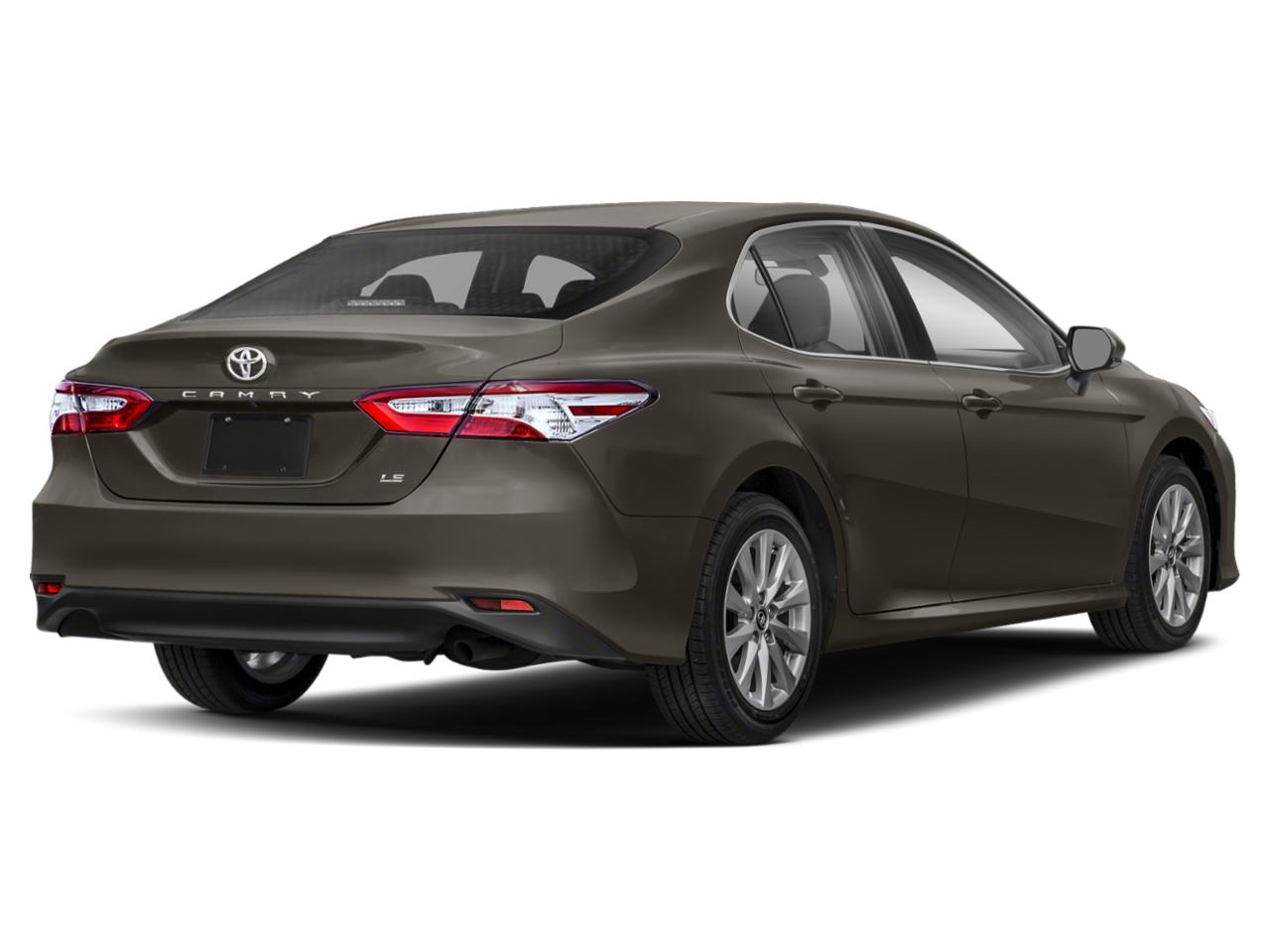 2019 Toyota Camry Vehicle Photo in Davie, FL 33331