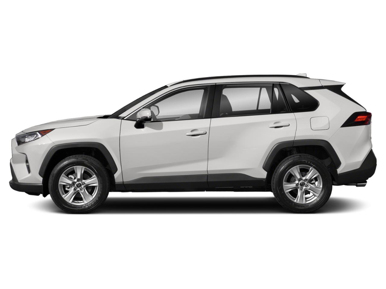 2019 Toyota RAV4 Vehicle Photo in ORLANDO, FL 32812-3021