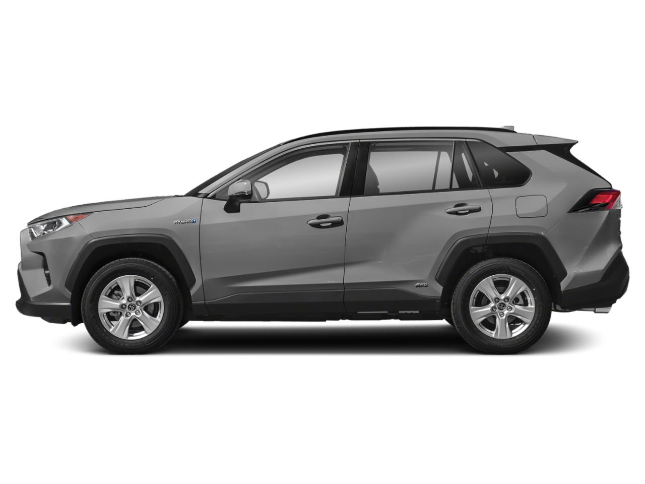 2019 Toyota RAV4 Vehicle Photo in Austin, TX 78728