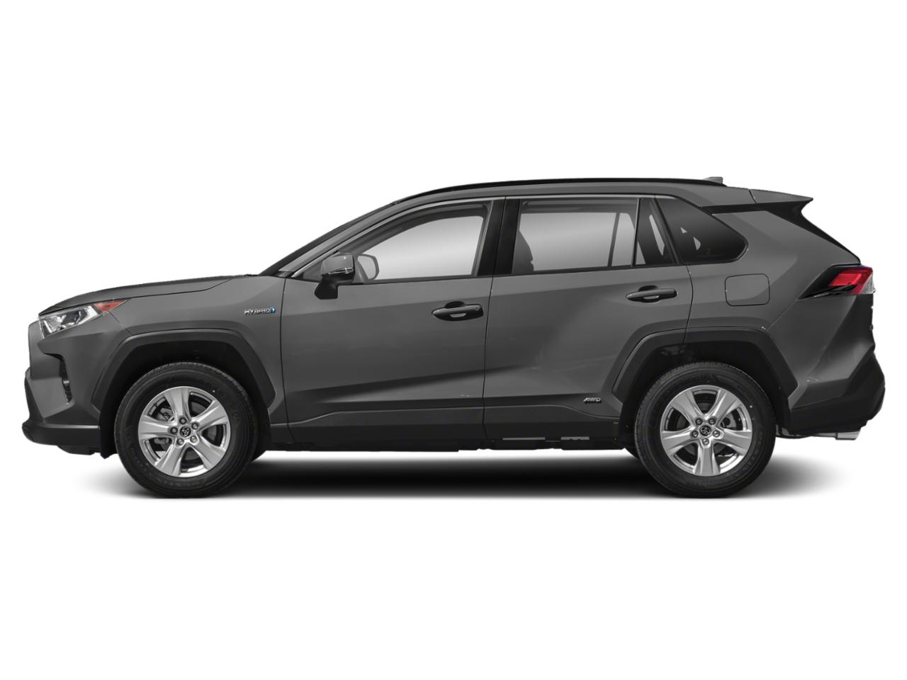 2019 Toyota RAV4 Vehicle Photo in San Antonio, TX 78209