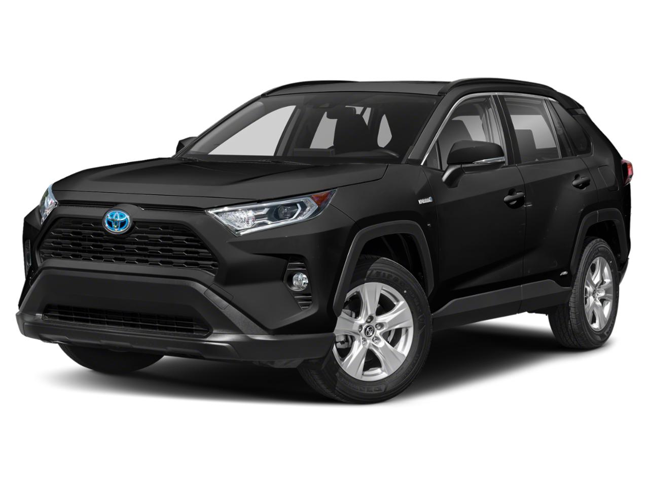 2019 Toyota RAV4 Vehicle Photo in Ft. Myers, FL 33907