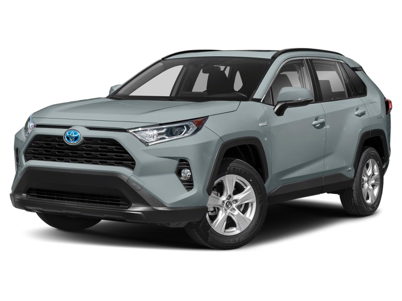 2019 Toyota RAV4 Vehicle Photo in Margate, FL 33063