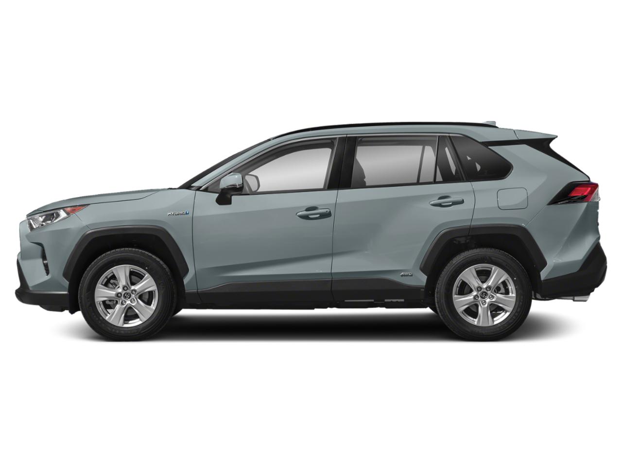 2019 Toyota RAV4 Vehicle Photo in Margate, FL 33063