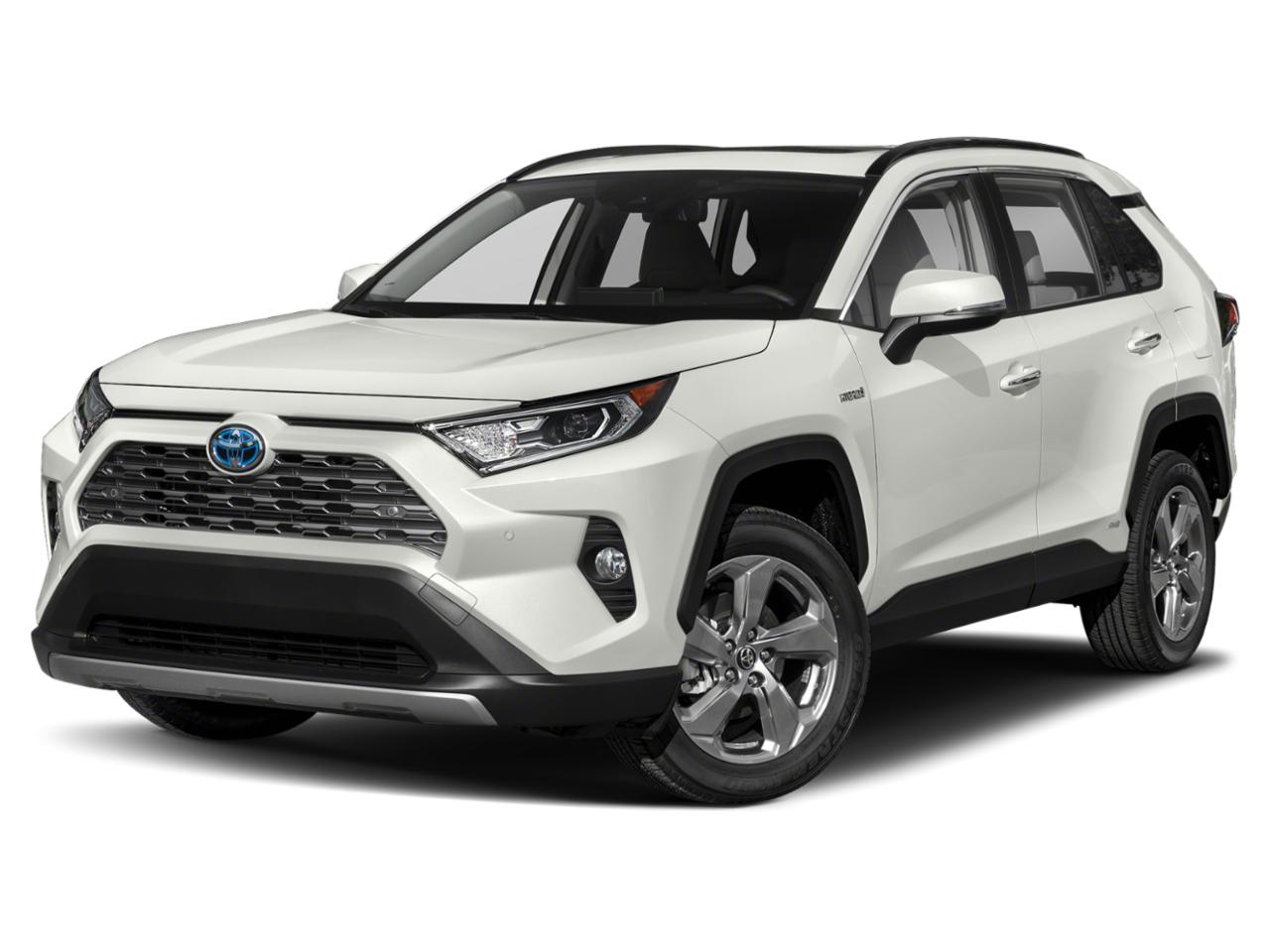 2019 Toyota RAV4 Vehicle Photo in Pinellas Park , FL 33781