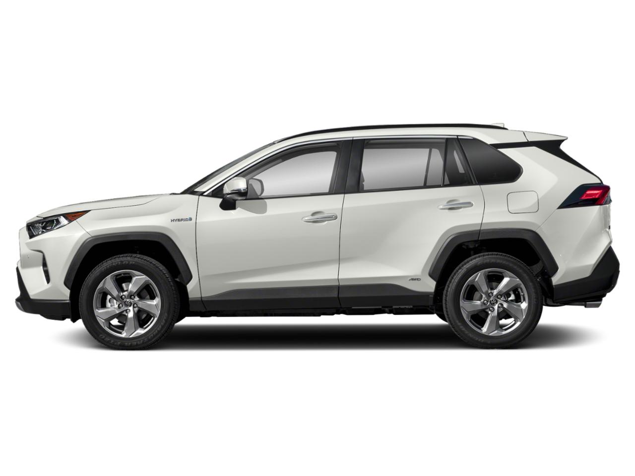 2019 Toyota RAV4 Vehicle Photo in Pinellas Park , FL 33781