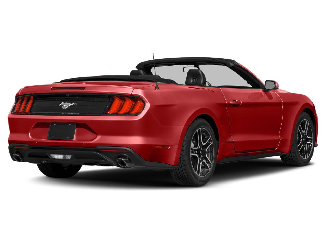 2020 Ford Mustang Vehicle Photo in Bradenton, FL 34207