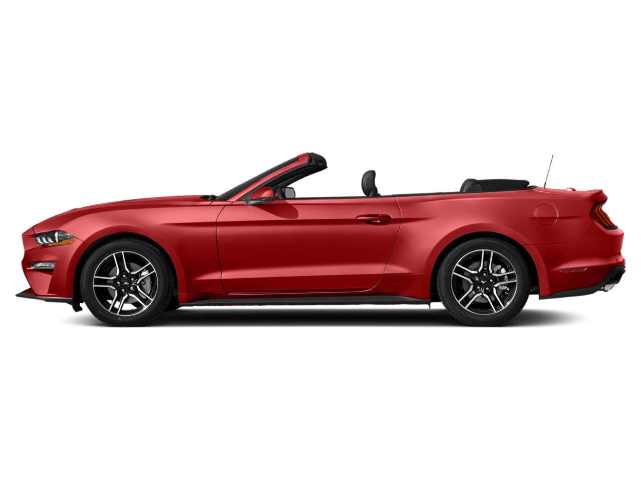 2020 Ford Mustang Vehicle Photo in Bradenton, FL 34207