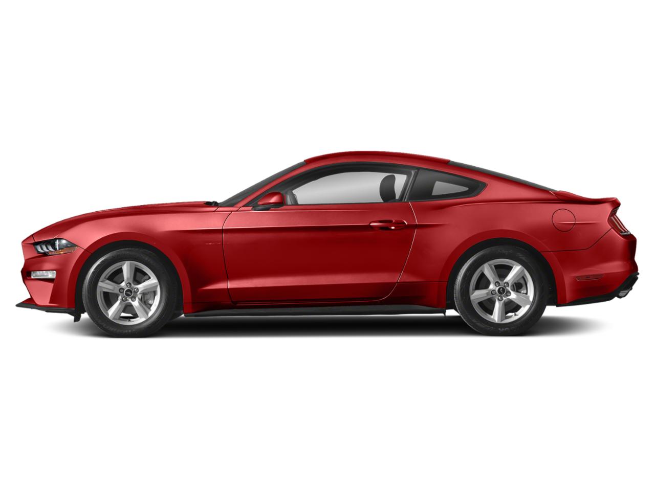 2020 Ford Mustang Vehicle Photo in St. Petersburg, FL 33713