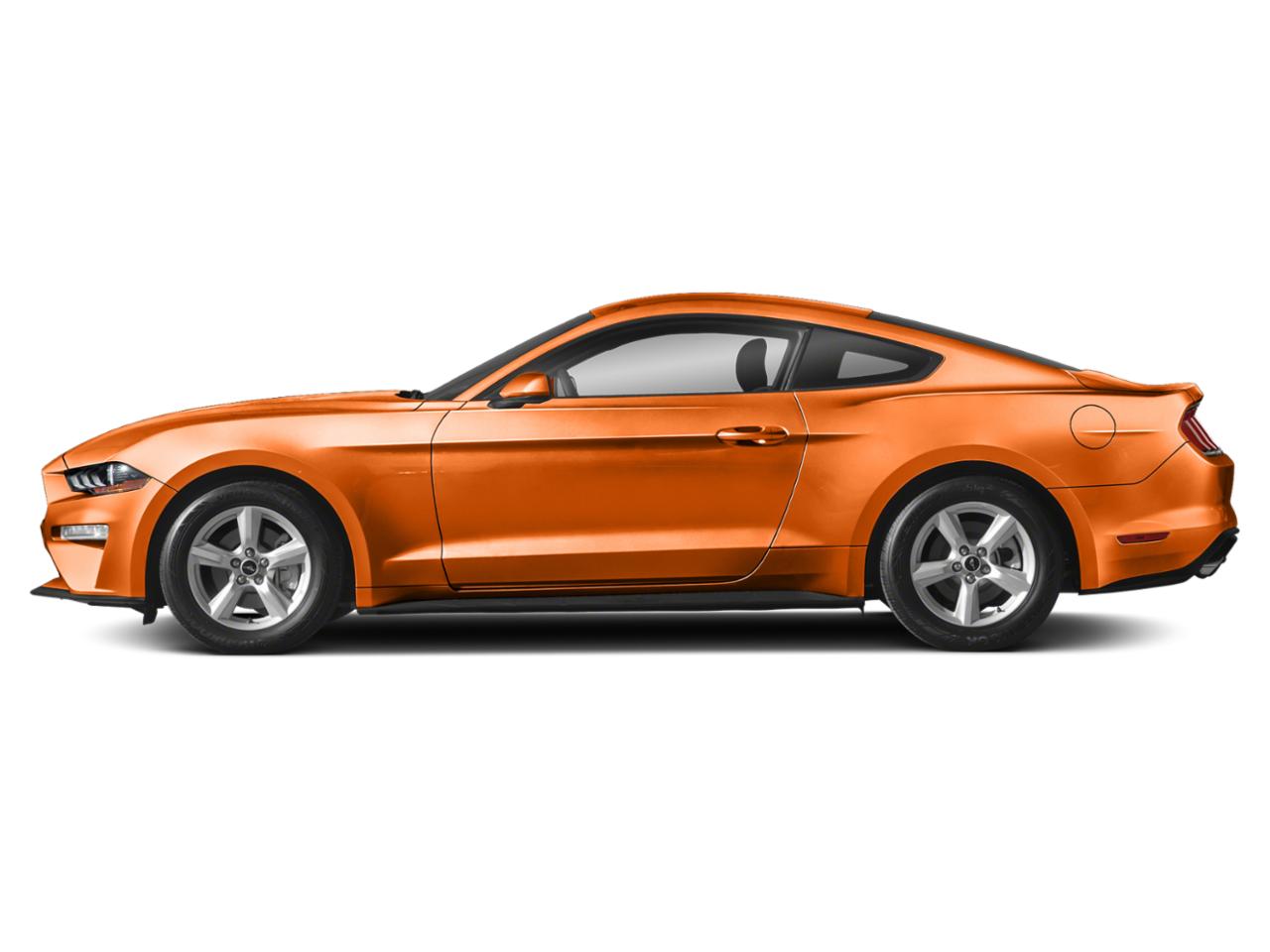 2020 Ford Mustang Vehicle Photo in St. Petersburg, FL 33713