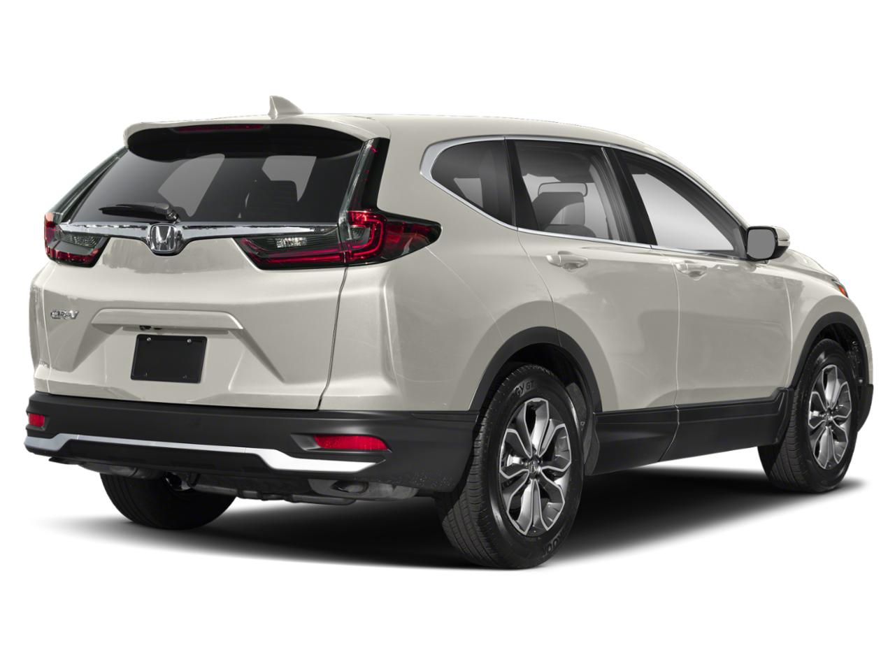 2020 Honda CR-V Vehicle Photo in Hollywood, FL 33021