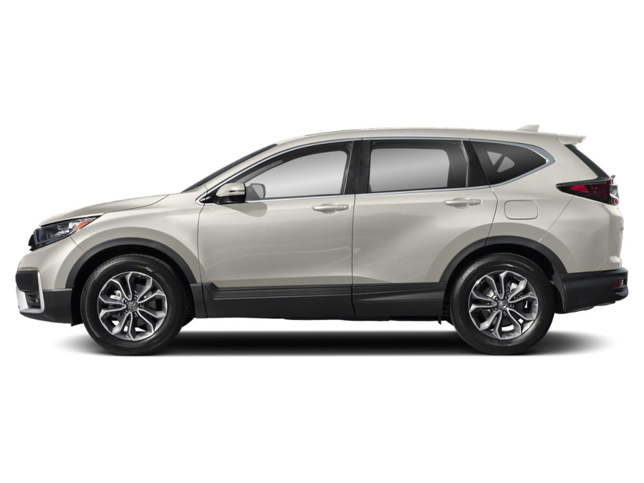 2020 Honda CR-V Vehicle Photo in Hollywood, FL 33021