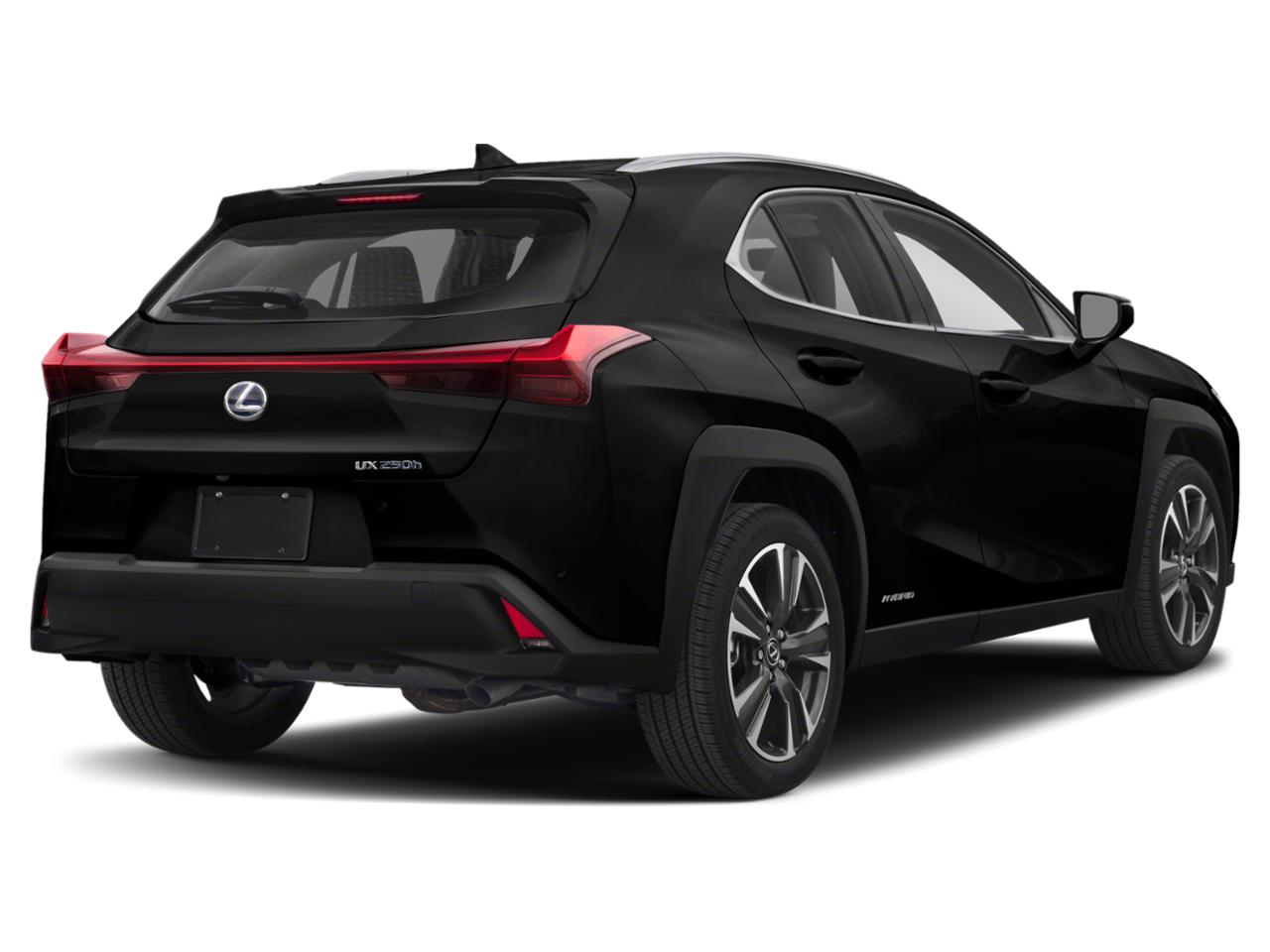 2020 Lexus UX 250h Vehicle Photo in Tampa, FL 33614