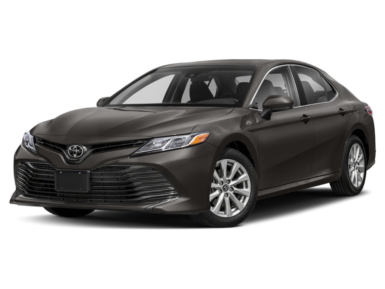 2020 Toyota Camry Vehicle Photo in Pinellas Park , FL 33781