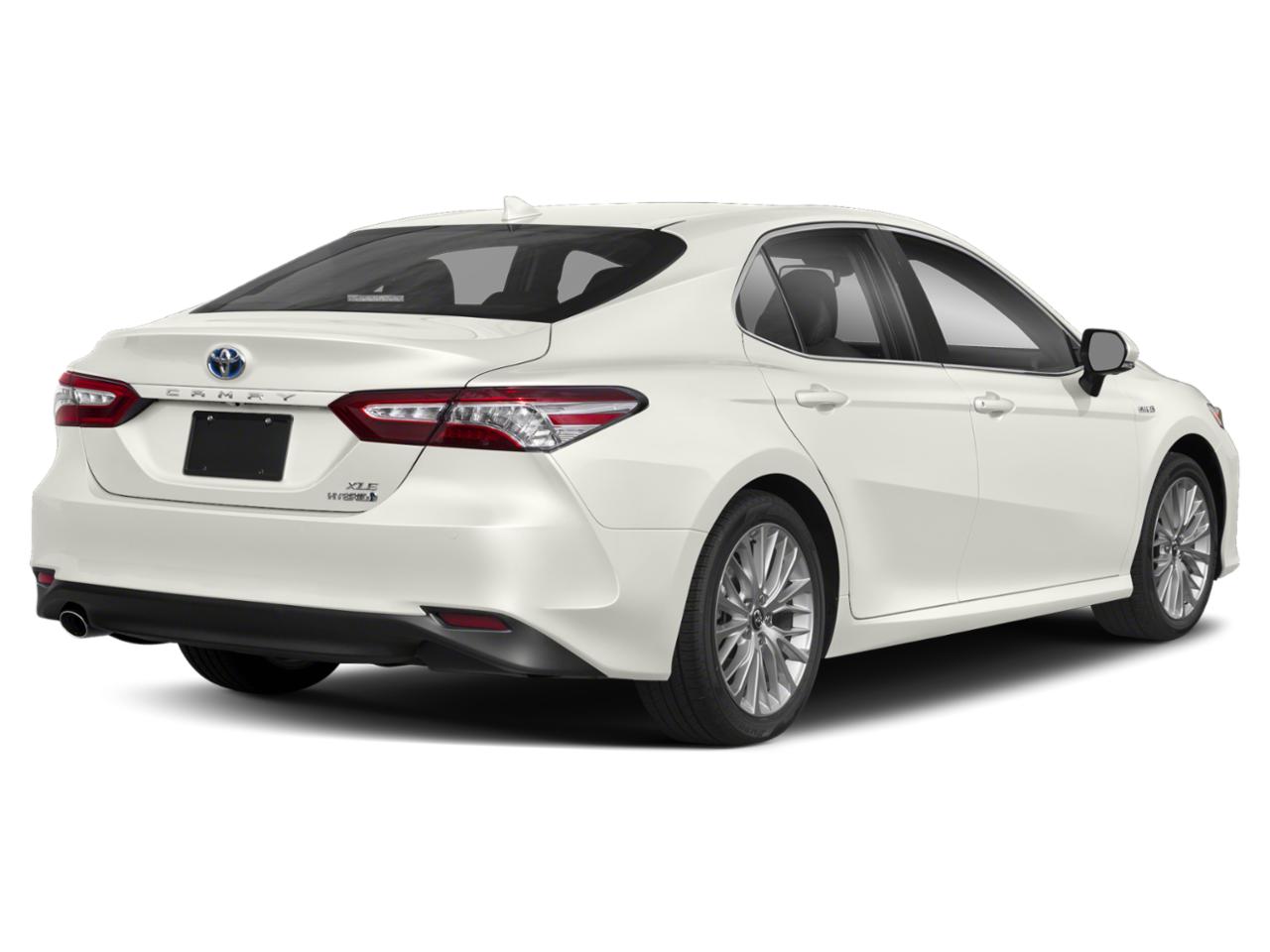 2020 Toyota Camry Vehicle Photo in Davie, FL 33331