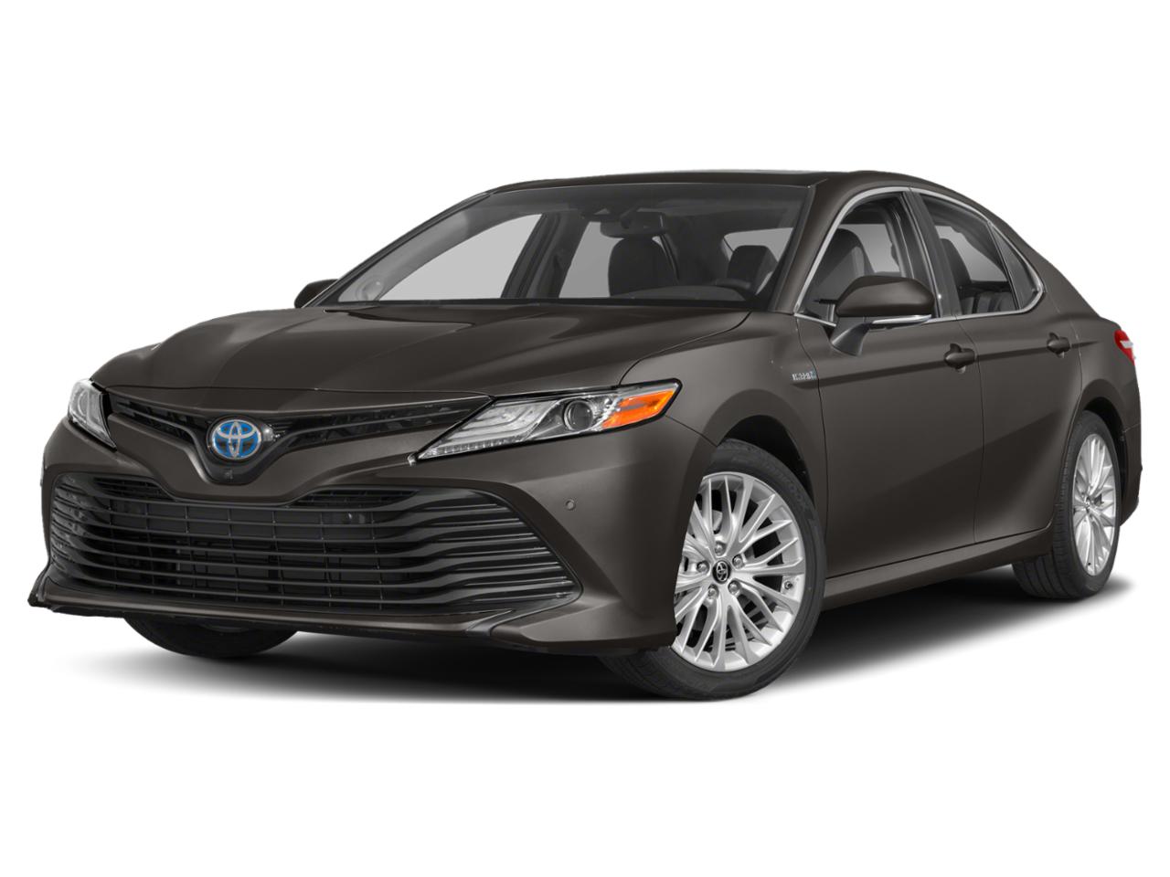 2020 Toyota Camry Vehicle Photo in Pinellas Park , FL 33781