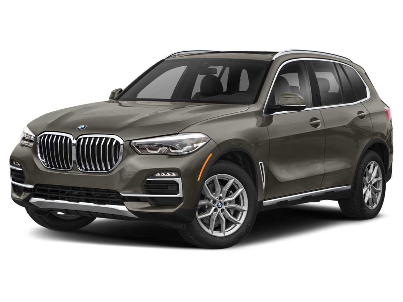 2021 BMW X5 sDrive40i Vehicle Photo in PLANO, TX 75024