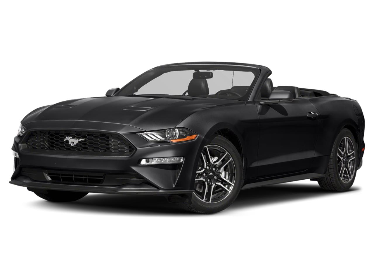 2021 Ford Mustang Vehicle Photo in ELYRIA, OH 44035-6349