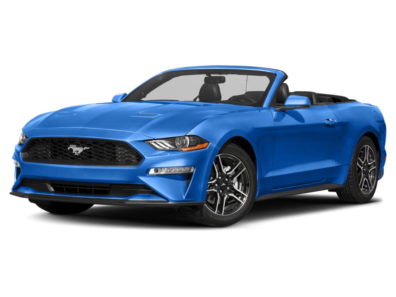 2021 Ford Mustang Vehicle Photo in Hollywood, FL 33021