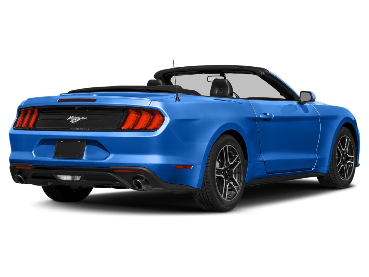 2021 Ford Mustang Vehicle Photo in Hollywood, FL 33021