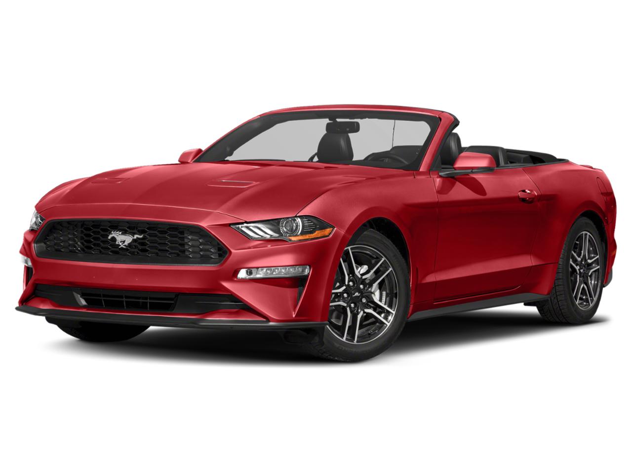 2021 Ford Mustang Vehicle Photo in St. Petersburg, FL 33713