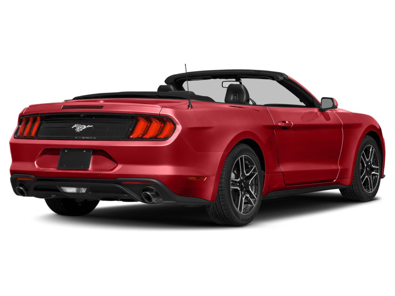 2021 Ford Mustang Vehicle Photo in St. Petersburg, FL 33713