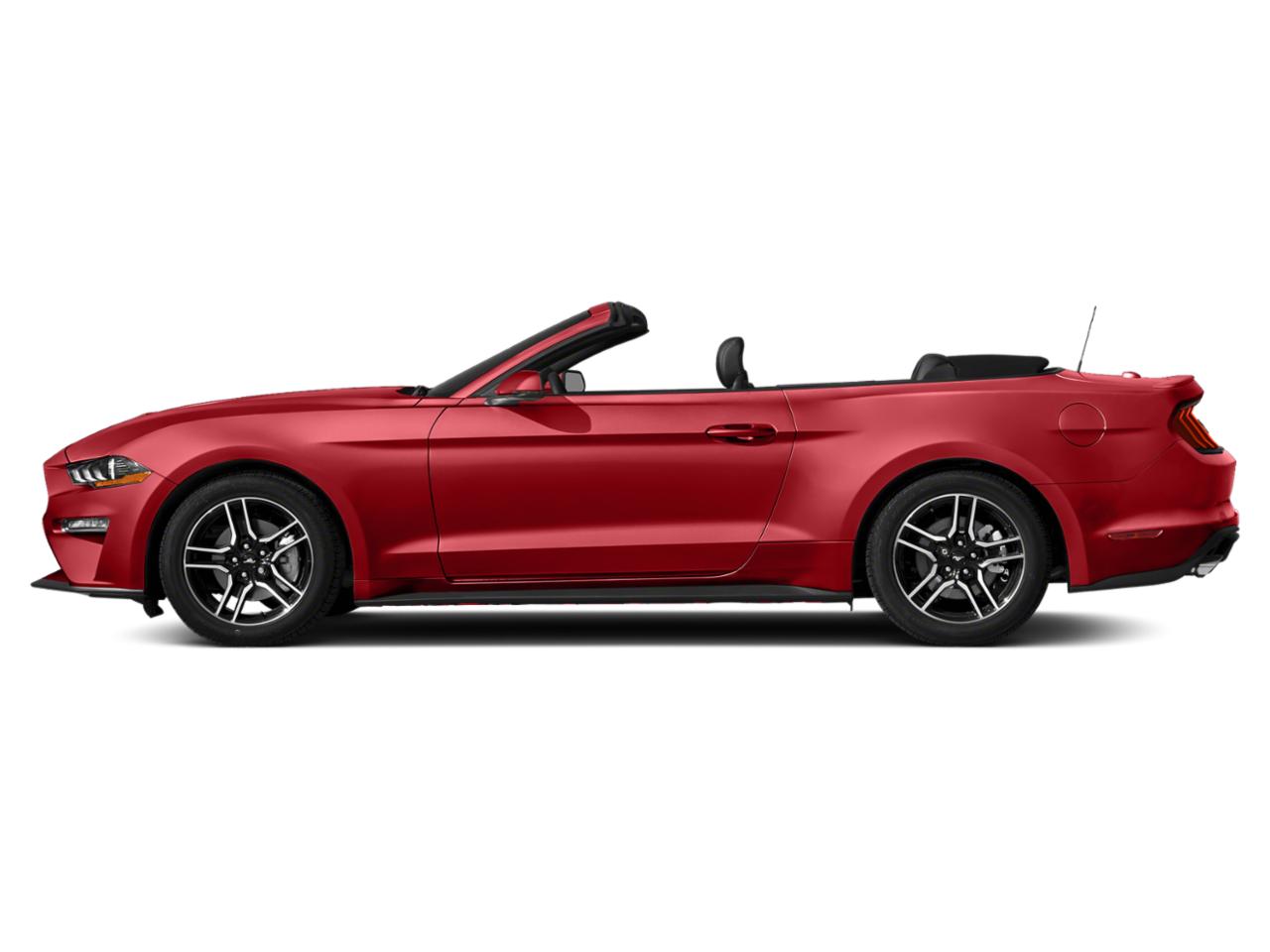 2021 Ford Mustang Vehicle Photo in St. Petersburg, FL 33713