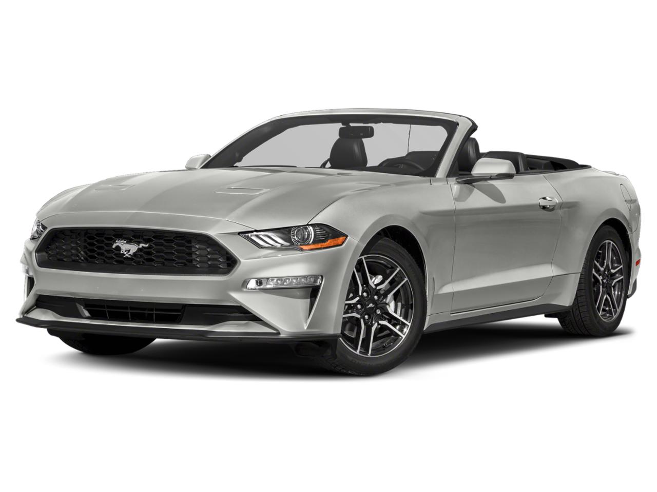 2021 Ford Mustang Vehicle Photo in Winslow, AZ 86047-2439