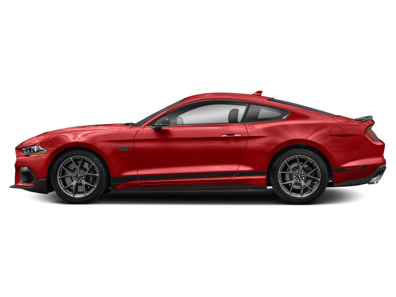 2021 Ford Mustang Vehicle Photo in Jacksonville, FL 32244