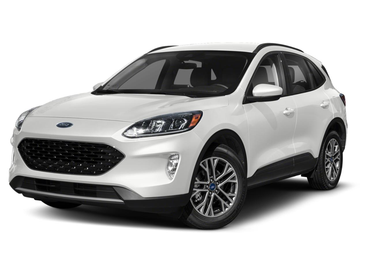 2021 Ford Escape Vehicle Photo in Clearwater, FL 33765