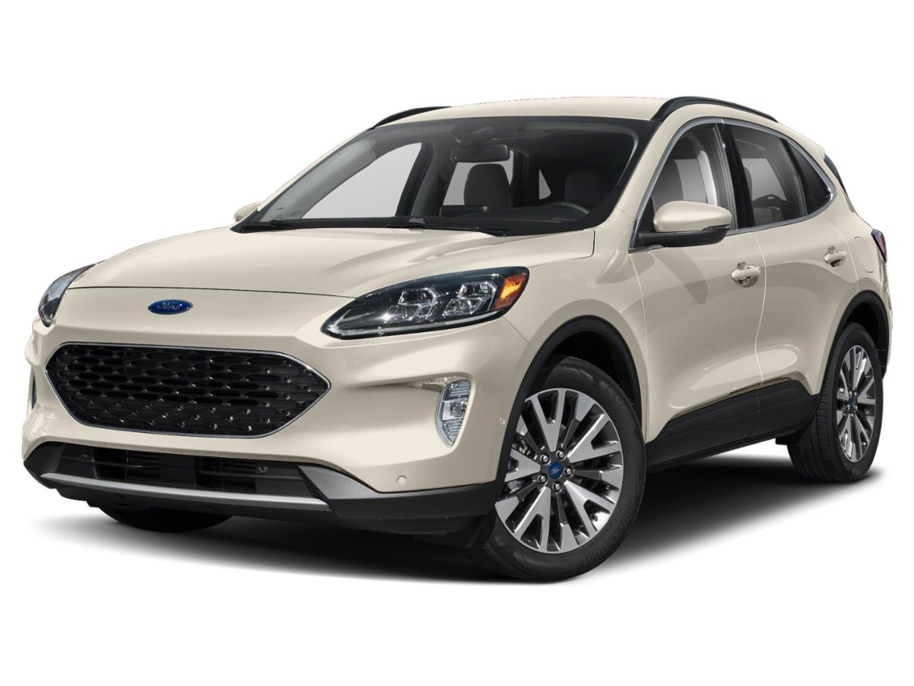 2021 Ford Escape Vehicle Photo in St. Petersburg, FL 33713