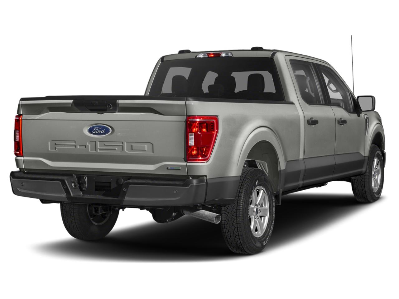 2021 Ford F-150 Vehicle Photo in St. Petersburg, FL 33713