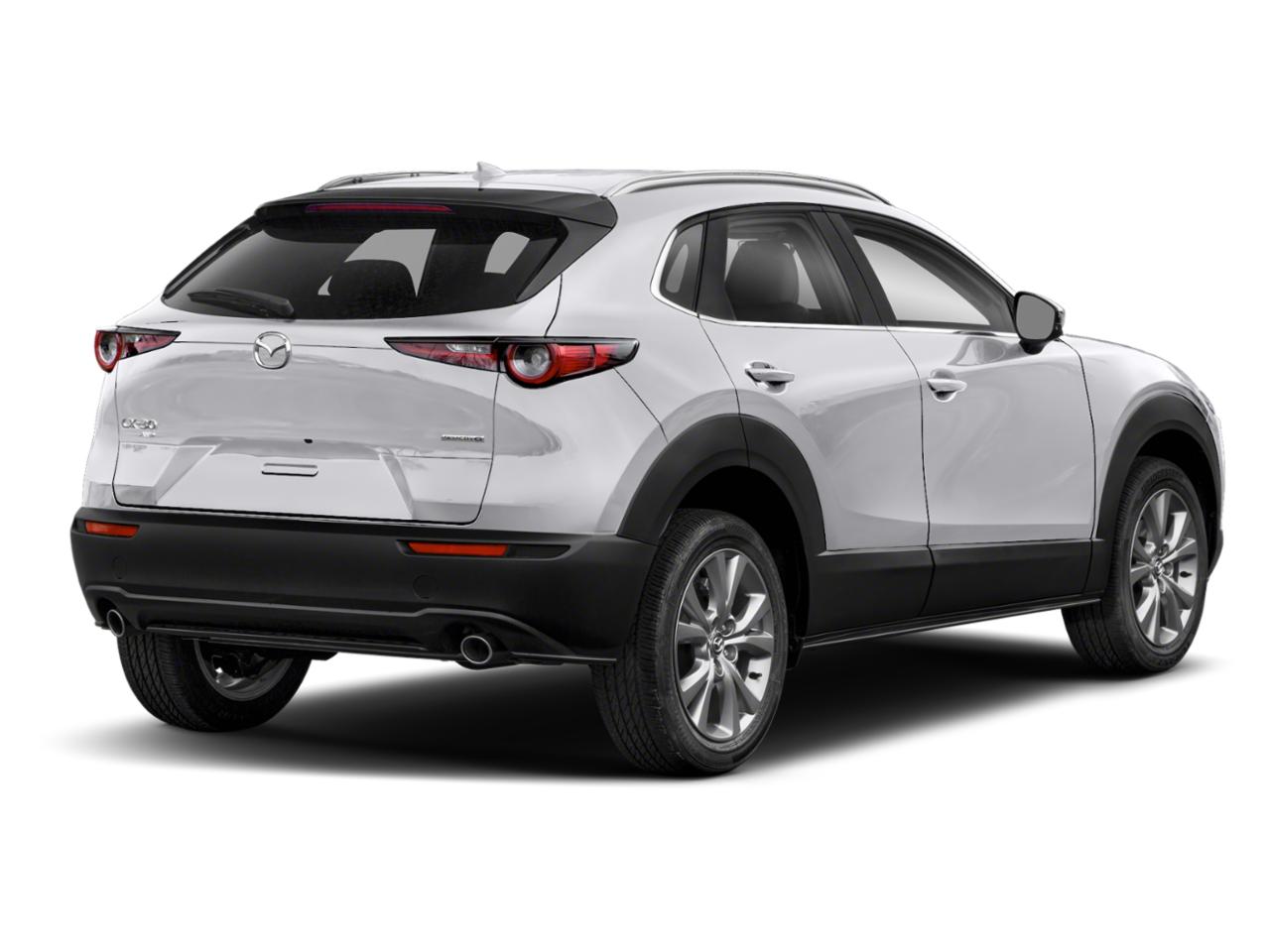 2021 Mazda CX-30 Vehicle Photo in Green Bay, WI 54304