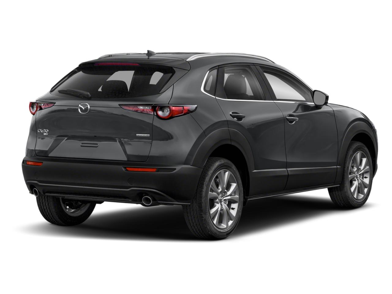 2021 Mazda CX-30 Vehicle Photo in Green Bay, WI 54304